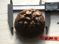 Bild 1 von Schildkrötenpflanze Dioscorea elephantipes OM4