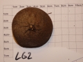 Bild 2 von Schildkrötenpflanze Dioscorea elephantipes  LG2